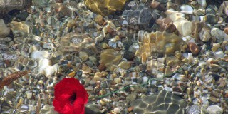 Beyond Gallipoli: Reflections on Anzac Day