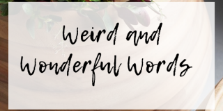 Weird and Wonderful Words #1