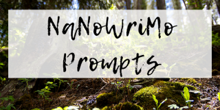 Creative Writing Prompts: NaNoWriMo
