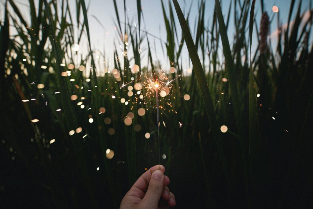 ID: fingers hold up a lit sparkler. in the background are tall reeds.